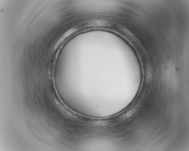 X0000054441017200508191606