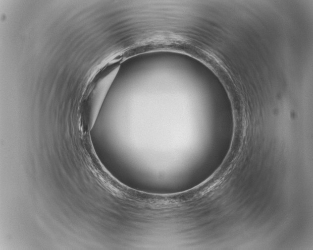 X0000054441018200508191606