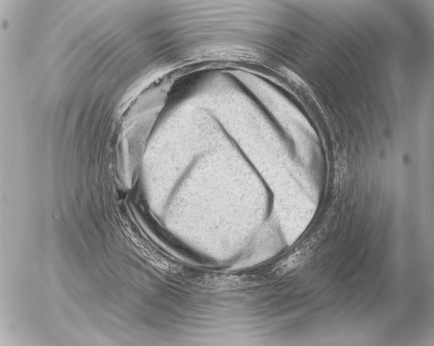 X0000054441019200508191606