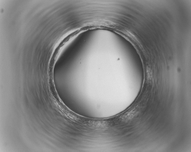 X0000054441020200508191606