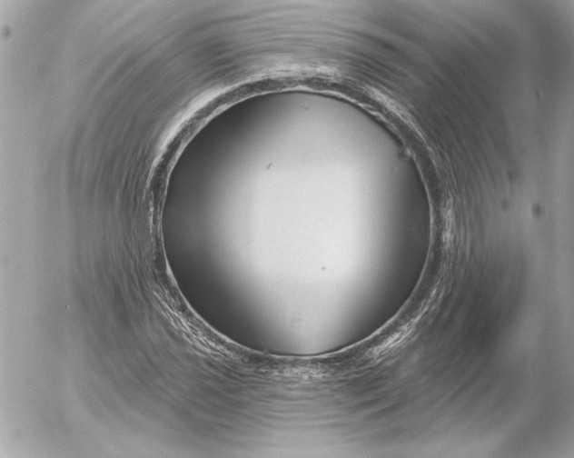 X0000054441021200508191606