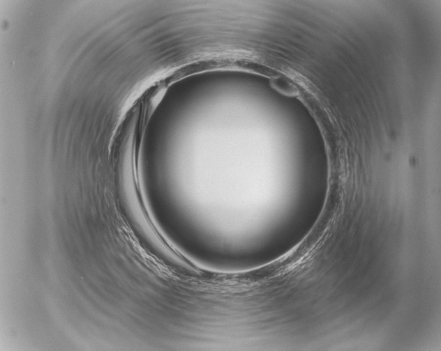 X0000054441022200508191606