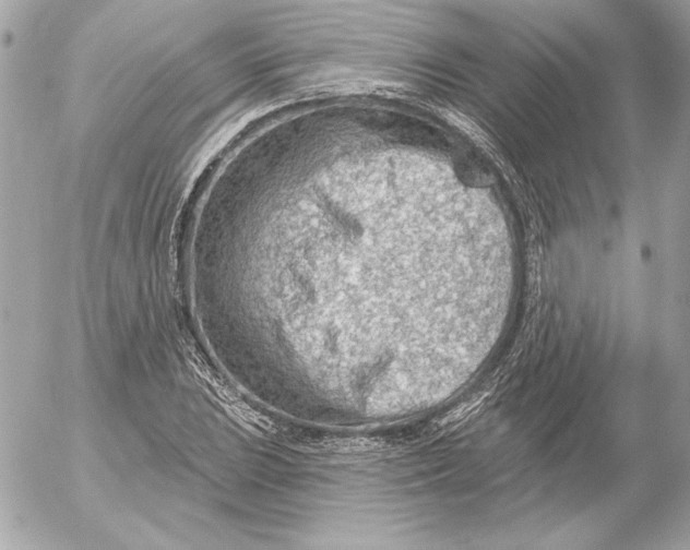 X0000054441023200508191606