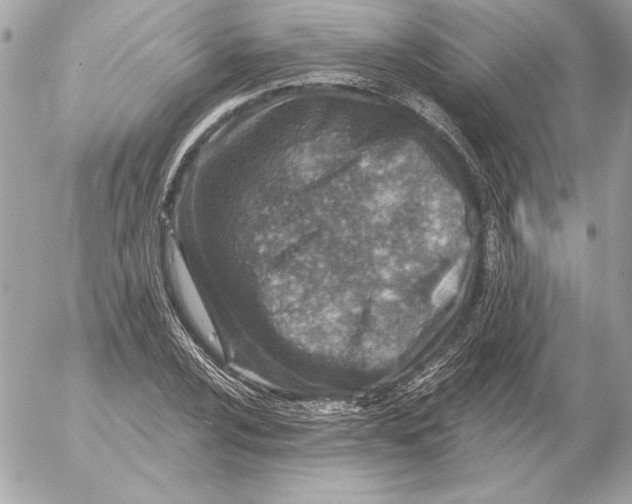 X0000054441024200508191606