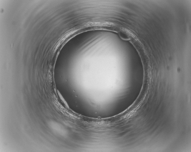 X0000054441025200508191606