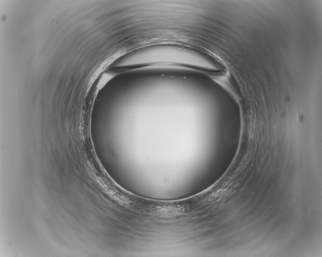 X0000054441026200508191606