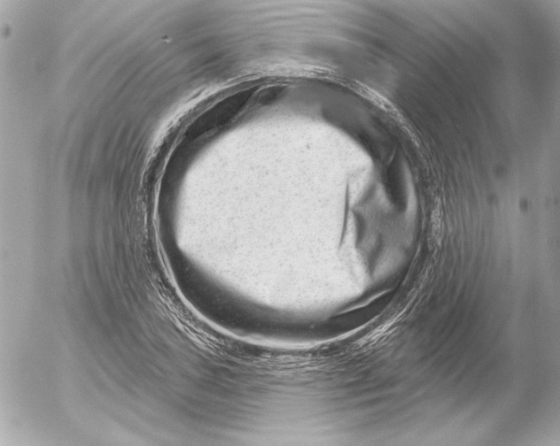 X0000054441027200508191606