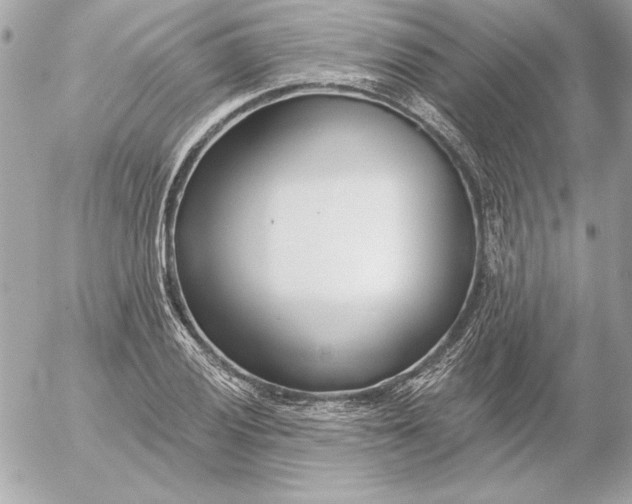 X0000054441028200508191606