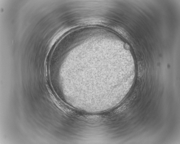 X0000054441031200508191606