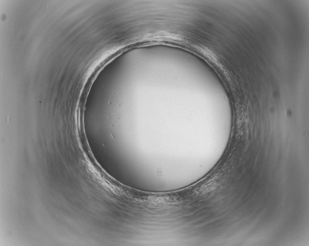 X0000054441032200508191606