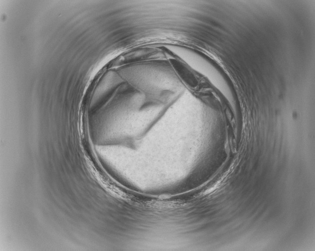 X0000054441034200508191606