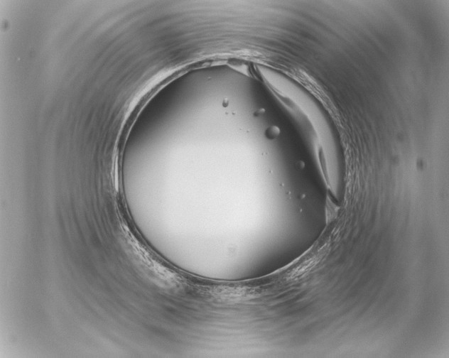 X0000054441036200508191606