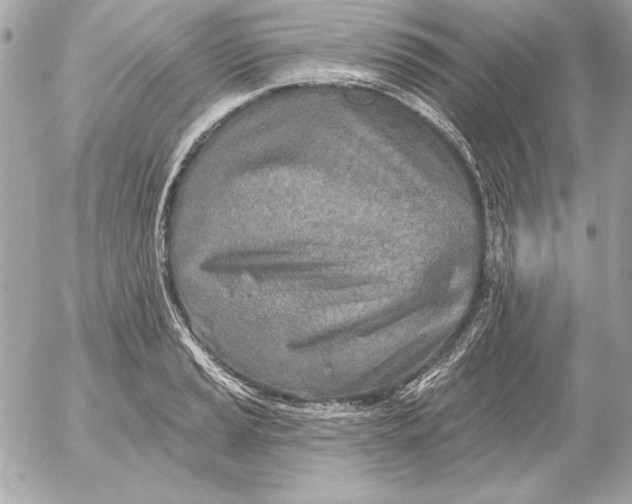 X0000054441037200508191606