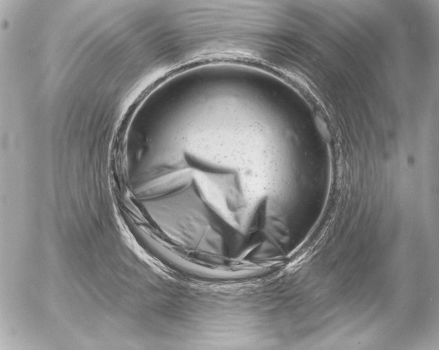 X0000054441038200508191606