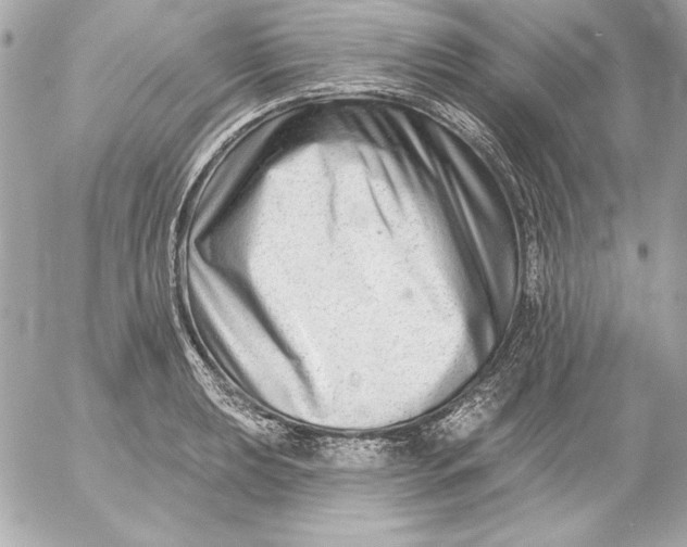 X0000054441039200508191606