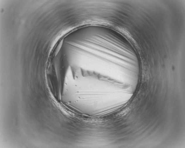 X0000054441040200508191606