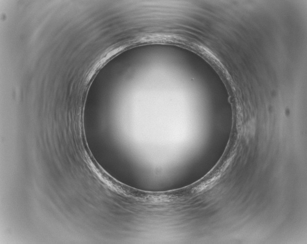 X0000054441041200508191606