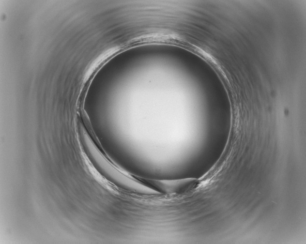 X0000054441042200508191606