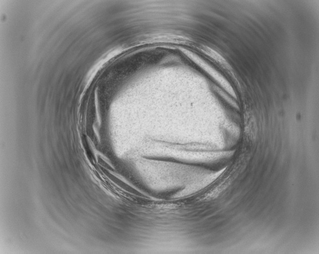 X0000054441043200508191606