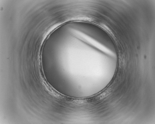 X0000054441044200508191606