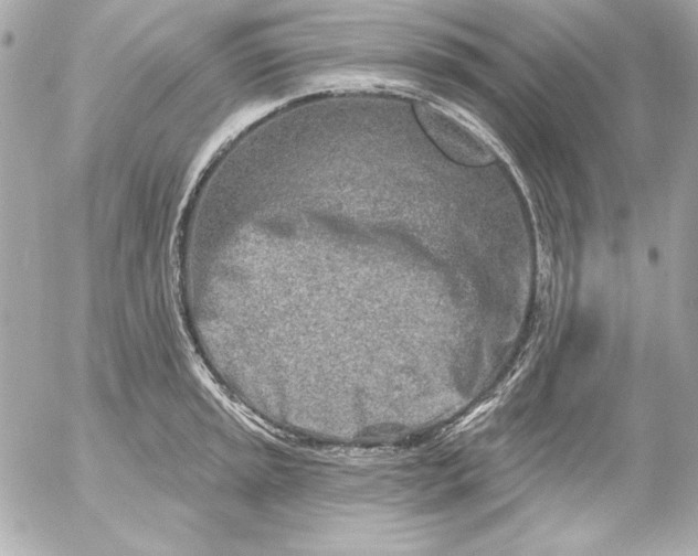 X0000054441045200508191606