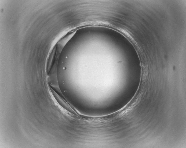 X0000054441046200508191606