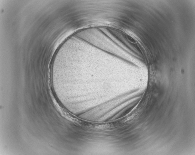 X0000054441047200508191606