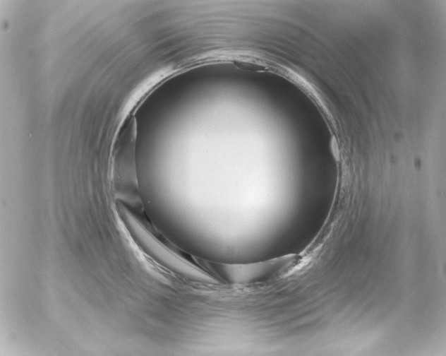 X0000054441050200508191606