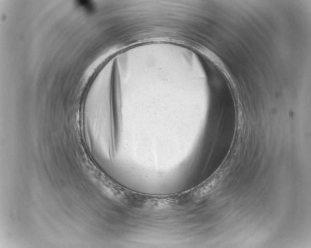 X0000054441051200508191606