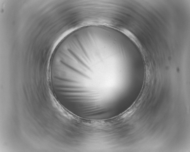 X0000054441052200508191606