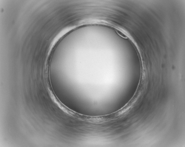 X0000054441053200508191606