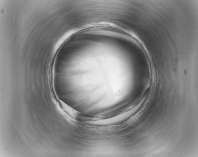 X0000054441054200508191606