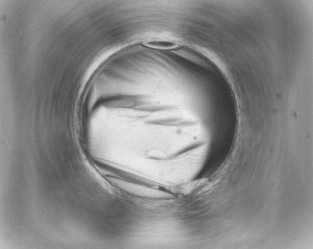 X0000054441056200508191606