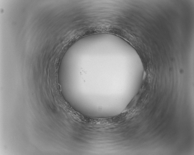 X0000054441057200508191605