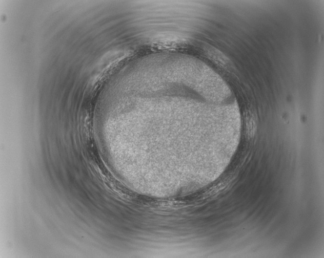 X0000054441060200508191605