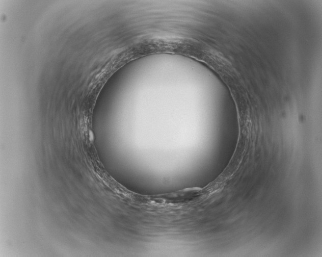 X0000054441061200508191605