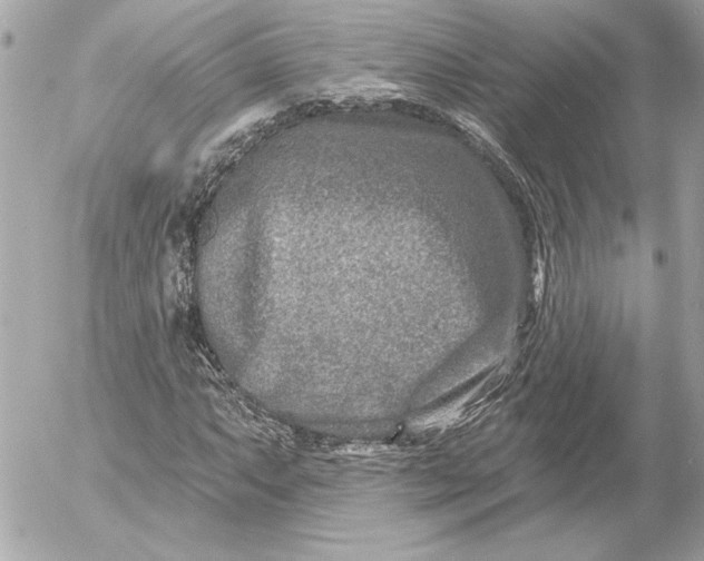 X0000054441063200508191605