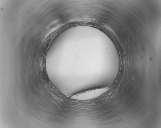 X0000054441064200508191605