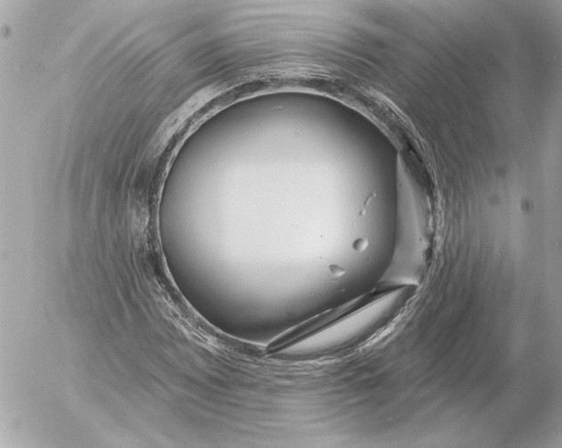 X0000054441065200508191605