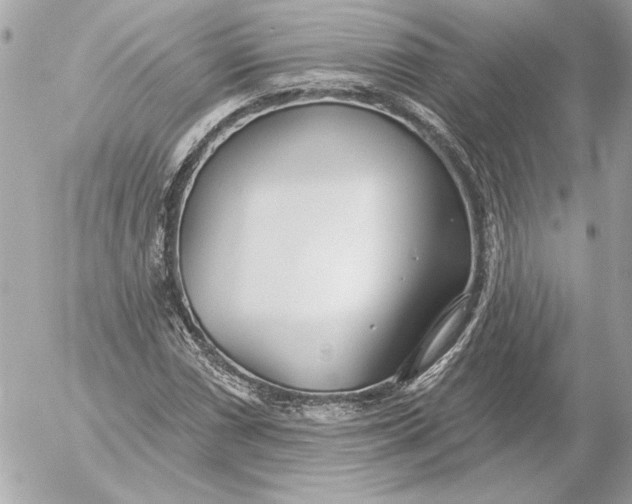 X0000054441066200508191605