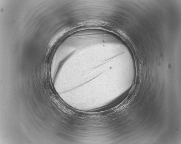 X0000054441067200508191605