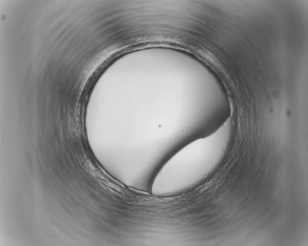 X0000054441068200508191605