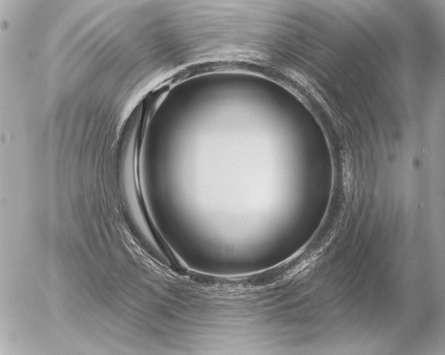 X0000054441069200508191605