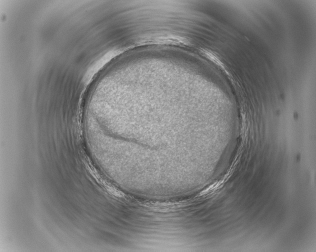 X0000054441071200508191605