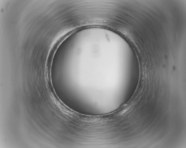 X0000054441072200508191605