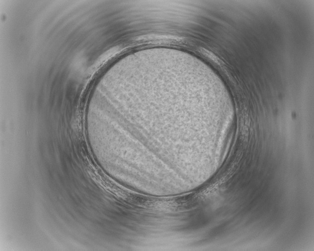 X0000054441074200508191605