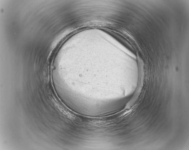 X0000054441075200508191605