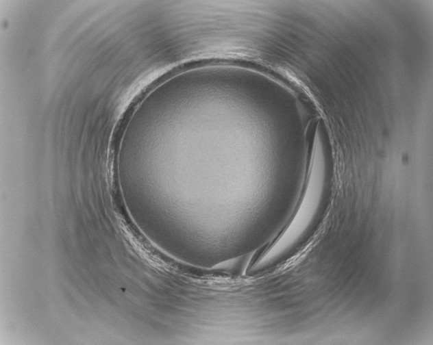 X0000054441077200508191605