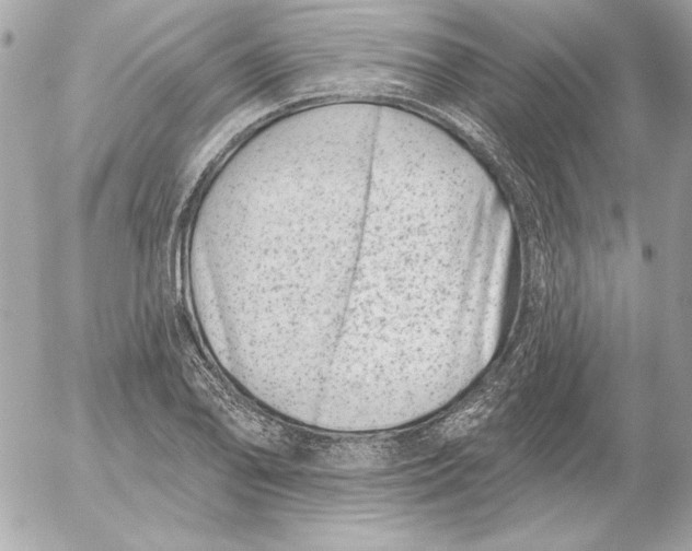 X0000054441078200508191605