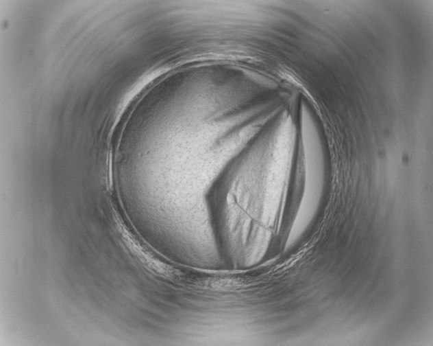 X0000054441079200508191605